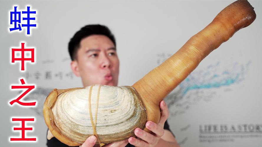 象拔蚌视频游戏截图