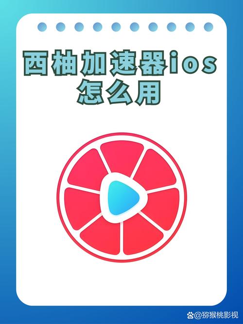 西柚加速器免广告破解版缩略图