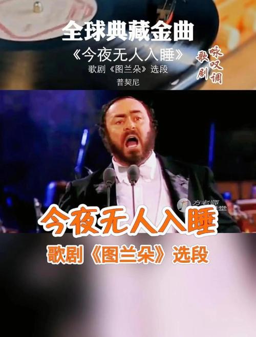 今夜无人入睡免费观看完整版