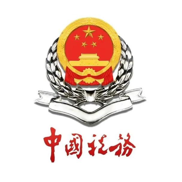 国家税务总局app游戏截图