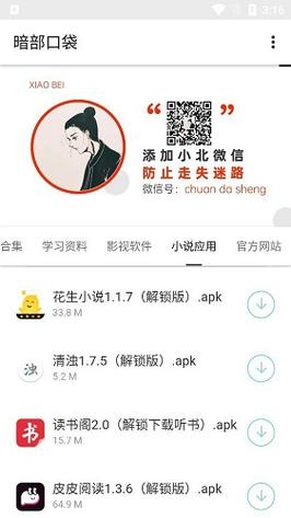 微软模拟飞行10怎么玩纯净版游戏截图