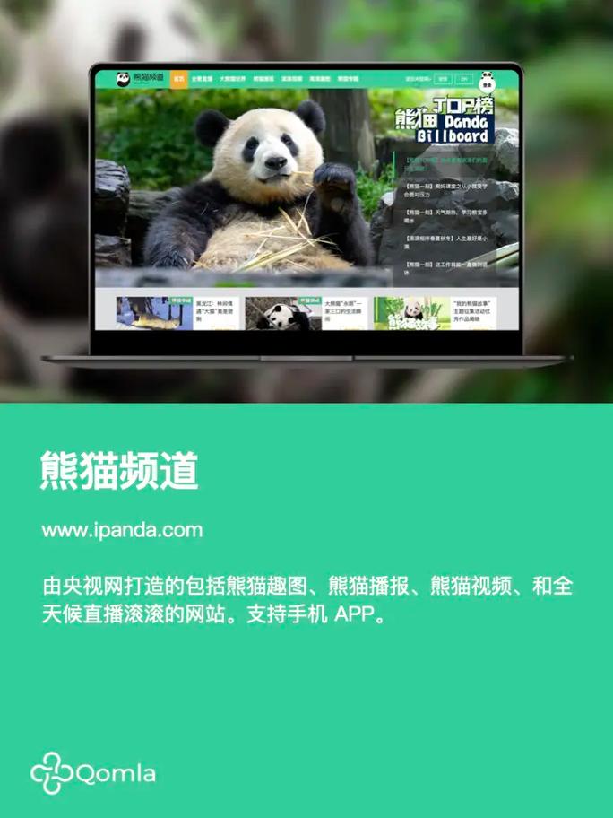 熊猫短视频网页版入口游戏截图