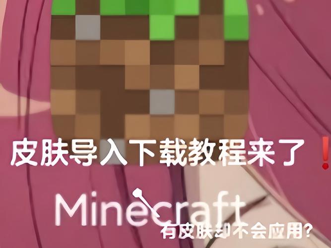 我的世界国际版皮肤导入图片下载游戏截图