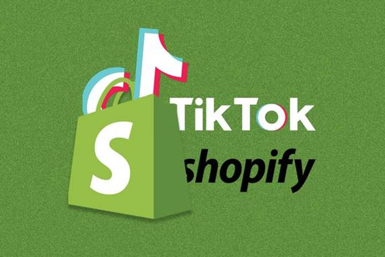 tiktok绿色18破解版