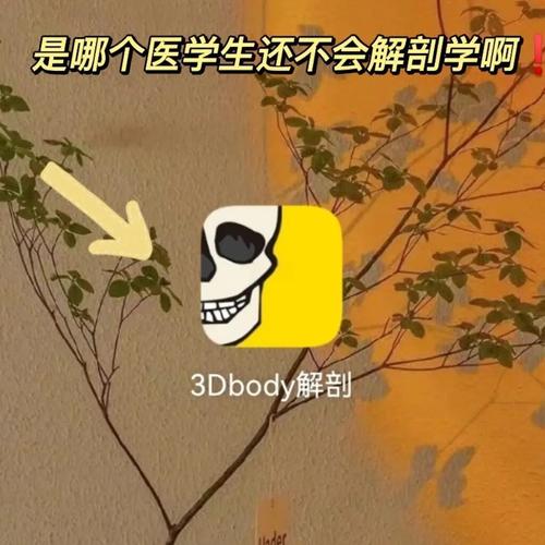 少女高校模拟器丧尸3dbody人体解剖学官网游戏截图