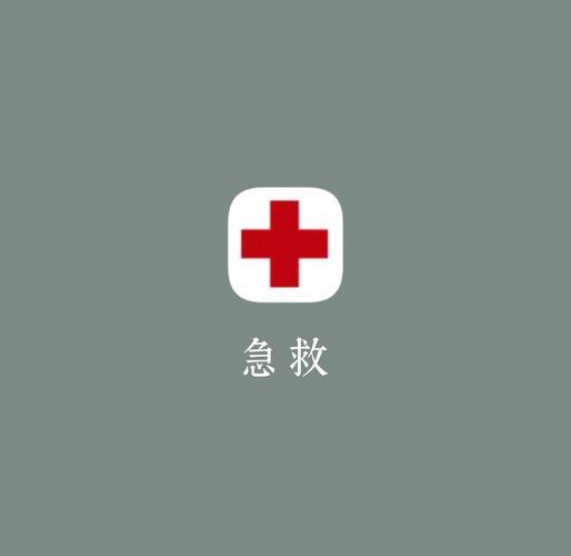 真实抢救模拟器下载
