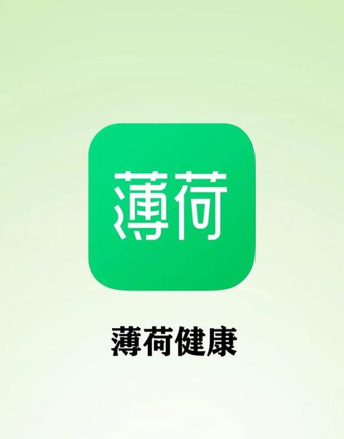 有没有比薄荷app好用的