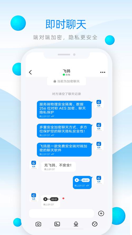 飞鸽