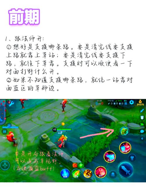 王者荣耀视野辅助器开全图免费版手机正版