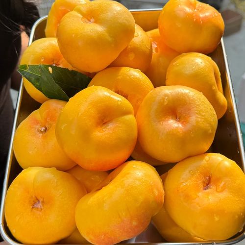 桃子移植100款黄油下载游戏截图