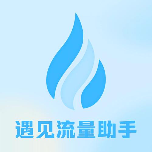 流量助手安装