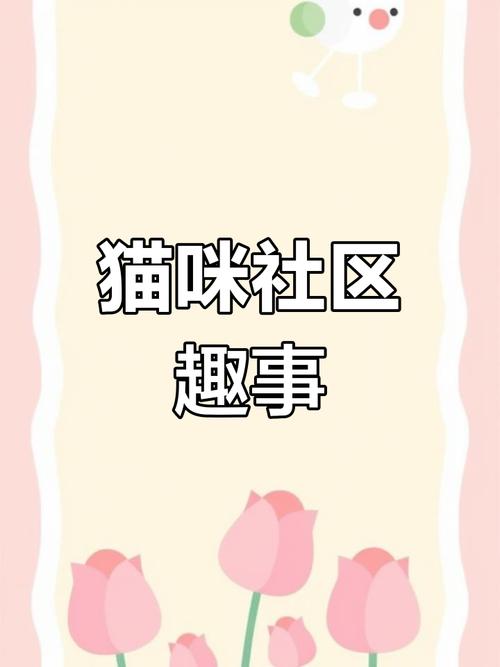 猫咪社区1.2.4版本下载缩略图