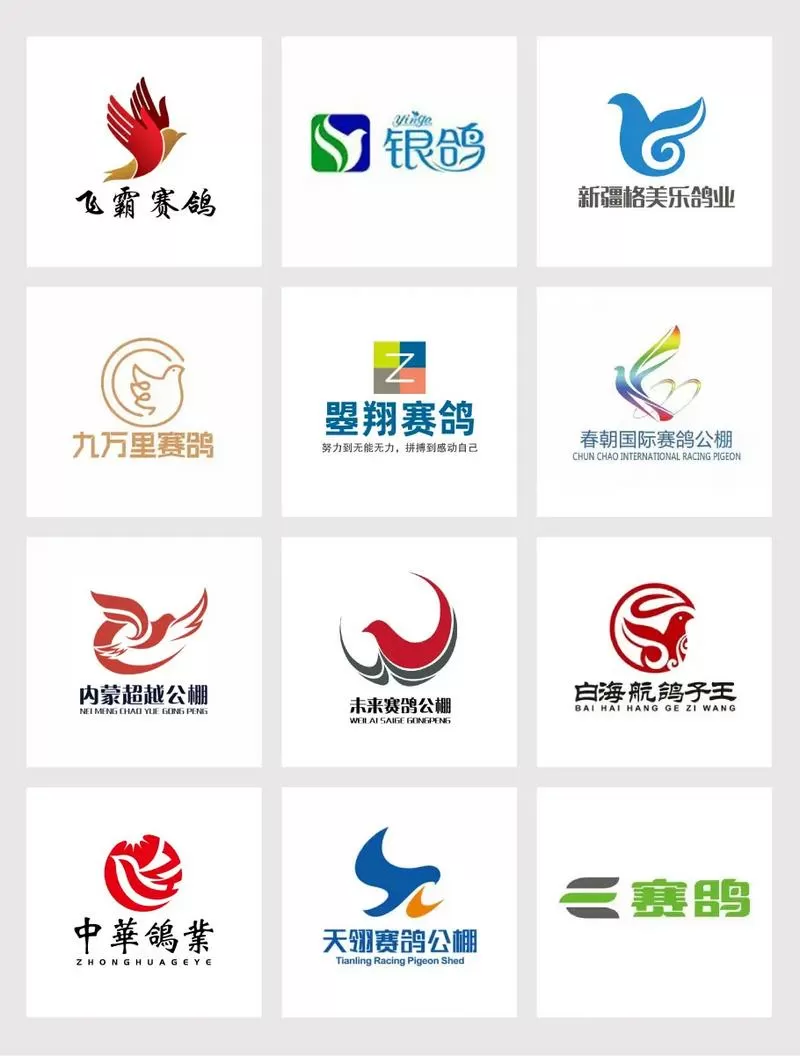 各地赛鸽公棚中国信息网