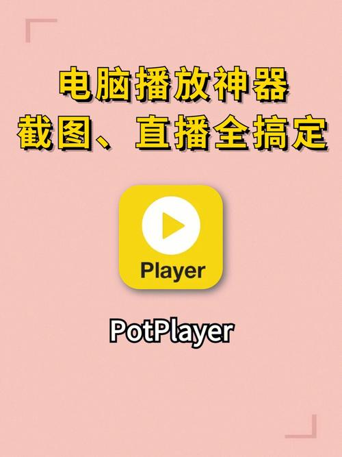 potplayer粉色版本游戏截图