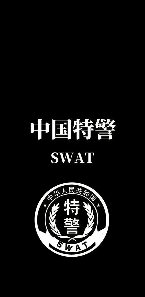 中国特警模拟器2游戏截图