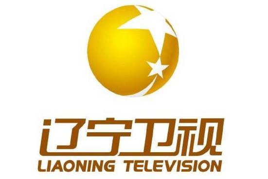 卫星电视免费版游戏截图