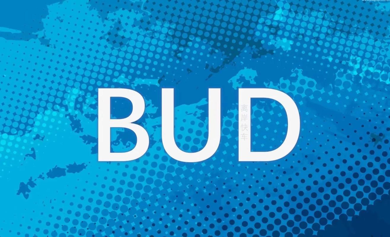 bud最新版缩略图