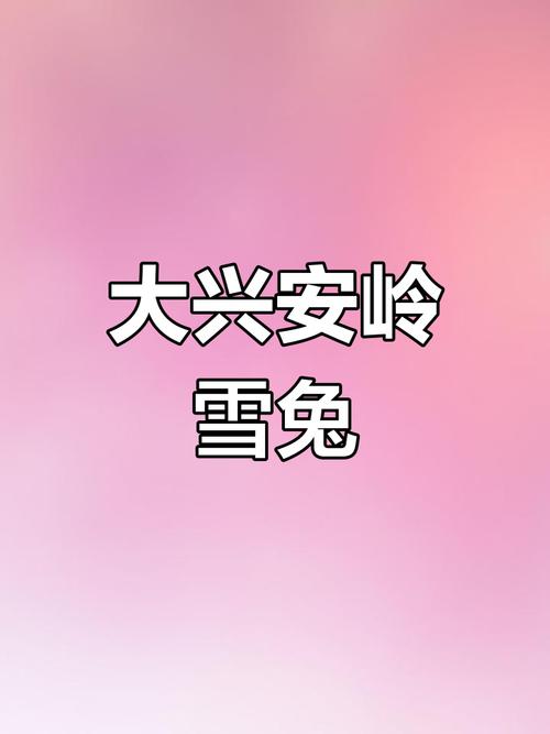 雪兔视频破解版攻略游戏截图