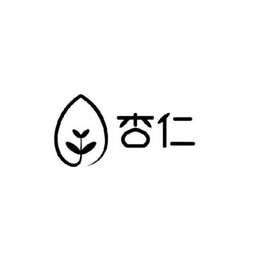 杏仁官网安装游戏截图