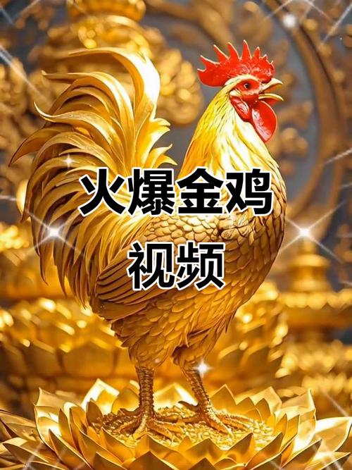 金鸡视频官网游戏截图