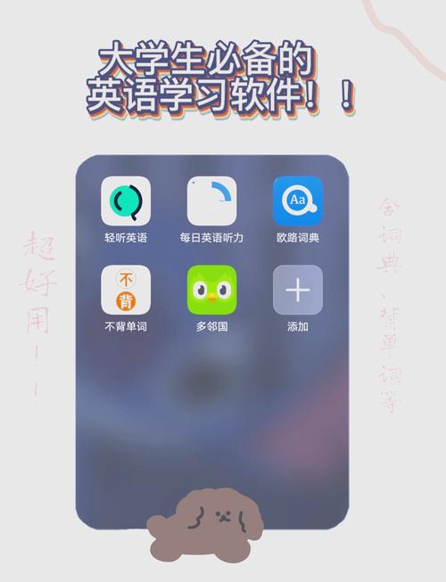 初步学英语什么软件国际版