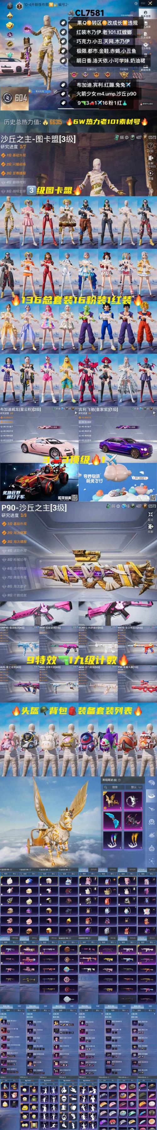 和平精英派克改文件十字架h5脚本缩略图