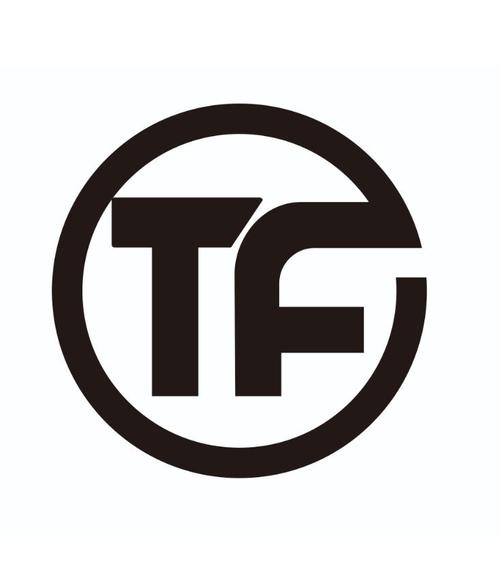 TF是什么意思游戏截图