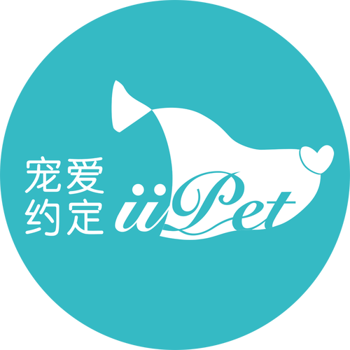 宠爱约会官网游戏截图