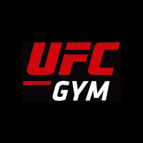 ufc终极格斗游戏安卓纯净版