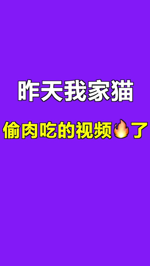 皮皮喵lite官方正版蓝色版无广告免费缩略图
