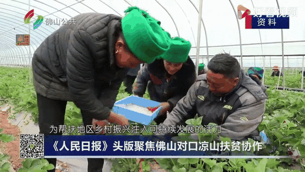 凉山电视台官网直播无限阅币