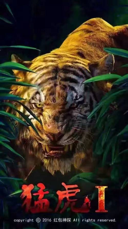 神探猛虎1.0正版授权游戏截图