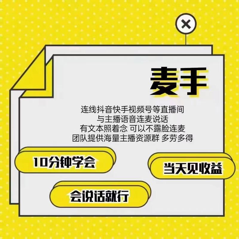 麦手接单平台游戏截图