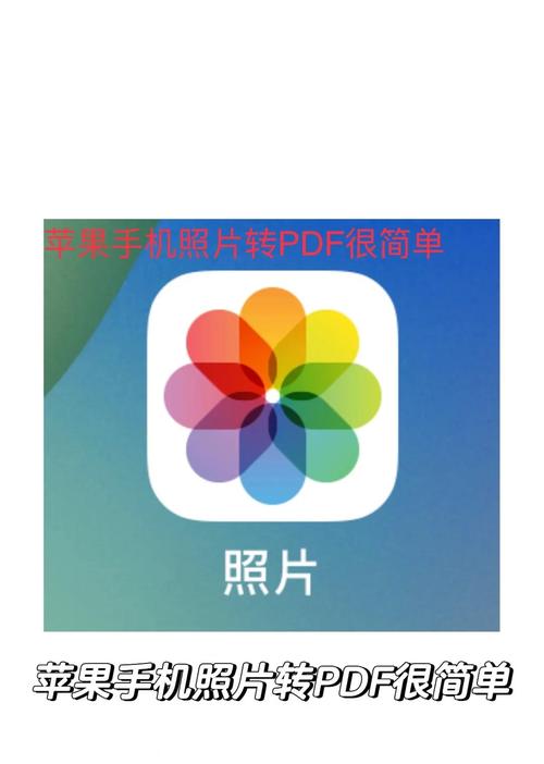 图像转换器手机版游戏截图