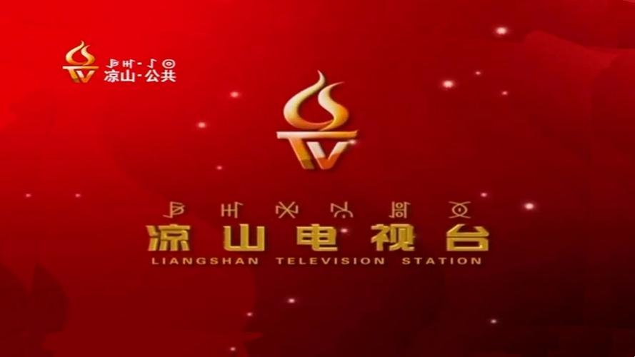 凉山电视台官网直播无限阅币游戏截图