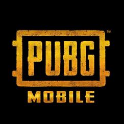 PUBG呆呆内部挂图标