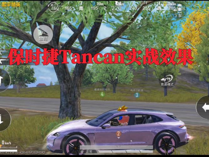 和平精英保时捷容器直装破解版游戏截图