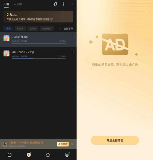 手机迅雷破解不限速vip版缩略图