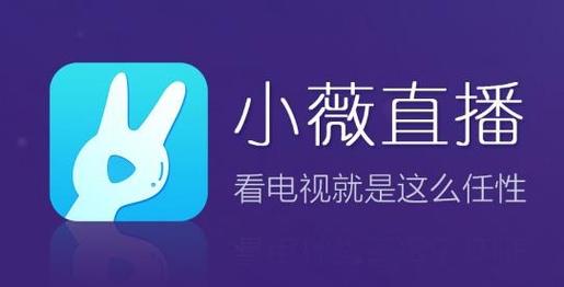 小微tv直播口令游戏截图