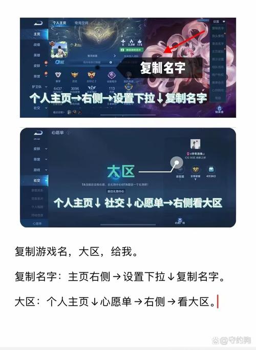 王者隐藏战绩查看器游戏截图