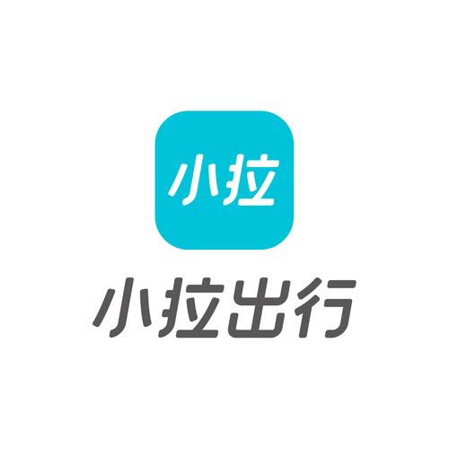 小拉出行抢单软件缩略图