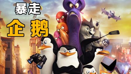 暴走企鹅免费观看完整版无限时间版游戏截图