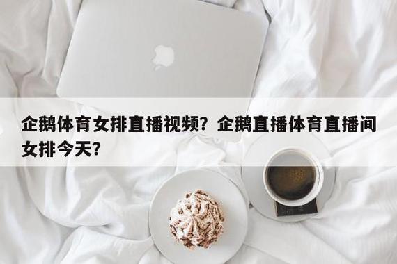 企鹅女排现场直播修复完整版游戏截图