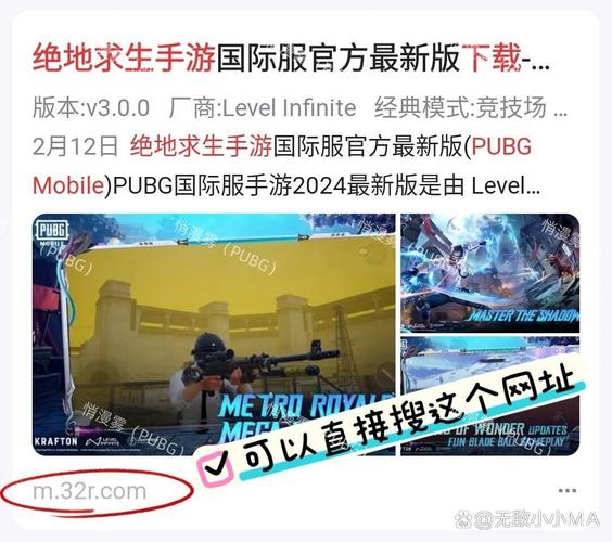 pubg公益直装电子版