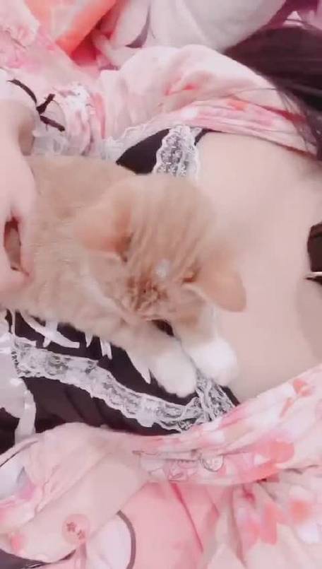 pr九尾狐正能量视频解锁版粉色版本缩略图