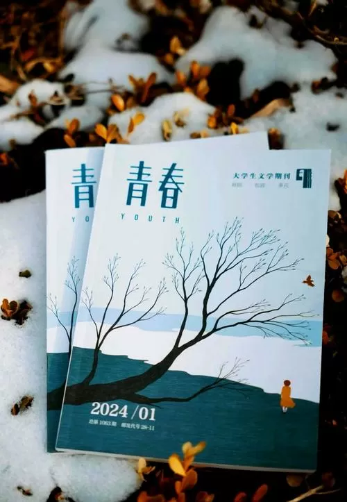 青春美文杂志电子版缩略图
