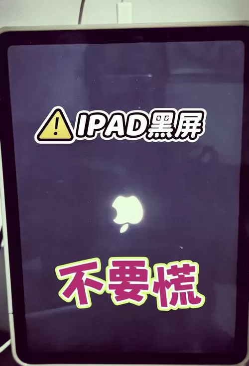 ipad闲置太久开不了机怎么办游戏截图