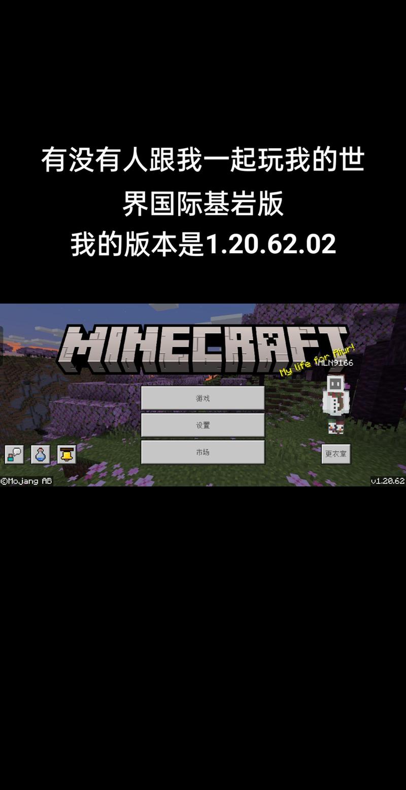 我的世界娘化丰胸模组基岩版黑色老版图标