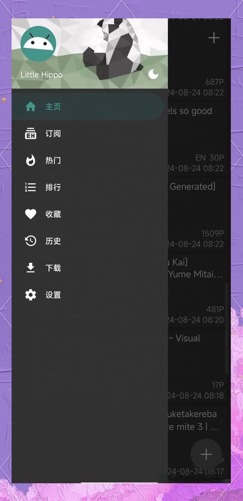 EHVIEWER黑色版E站17265缩略图