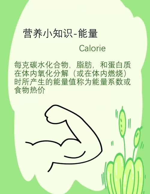 怎么计算每日摄入能量缩略图